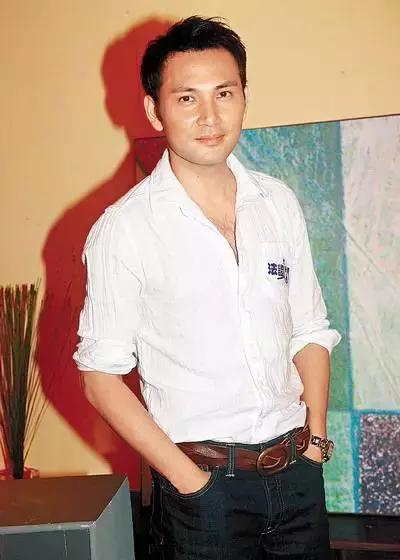 除此之外,林文龙在电影领域同样有所涉足,譬如《正红旗下》,《新天龙