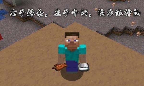 我的世界功能相似的物品谁更实用腐肉与猪肉你更喜欢谁