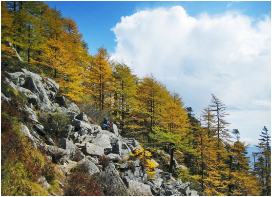 陝西最應該去的6大旅遊景點,風景真美,你去過幾個?