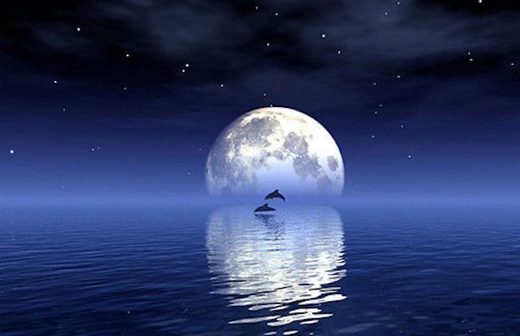 这四个秘密被嫦娥四号发现,美国和苏联都坐不