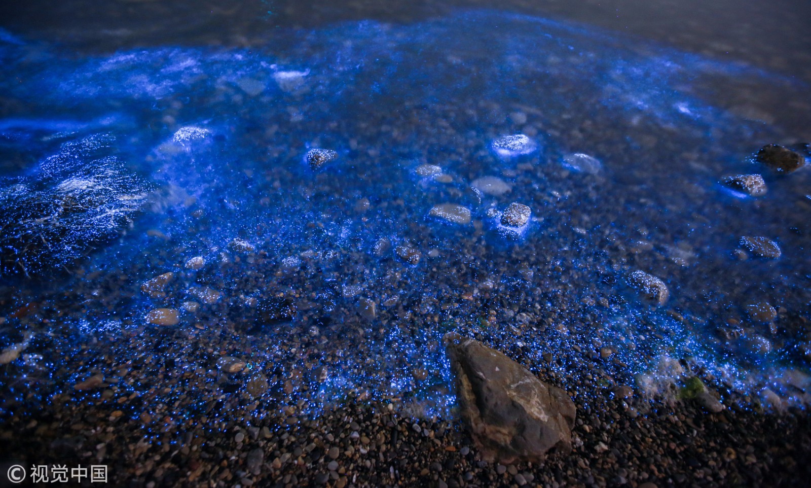 大连频现荧光海景观开启蓝色梦幻模式