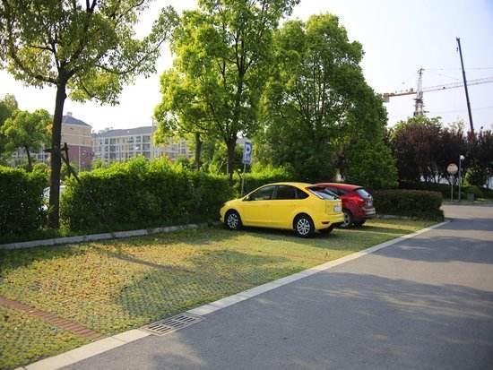 绿地|业主|停车位_新浪新闻