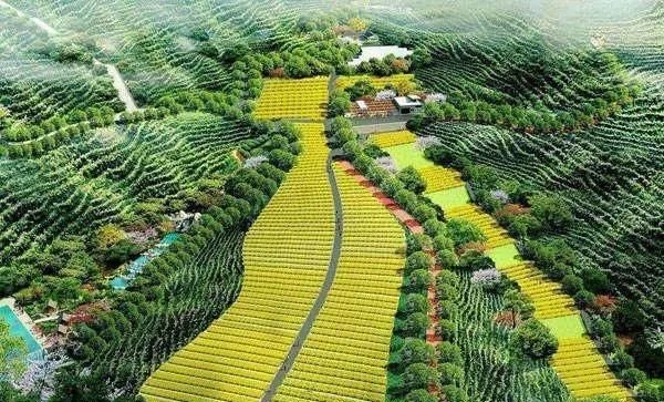 多地乡村旅游"点状供地",即将迎来的政策红利!|点状|供地|用地_新浪网