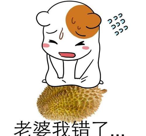 老婆我错了老婆我错了,我跪搓衣板愿意道歉下跪gif表情包我错了嘛