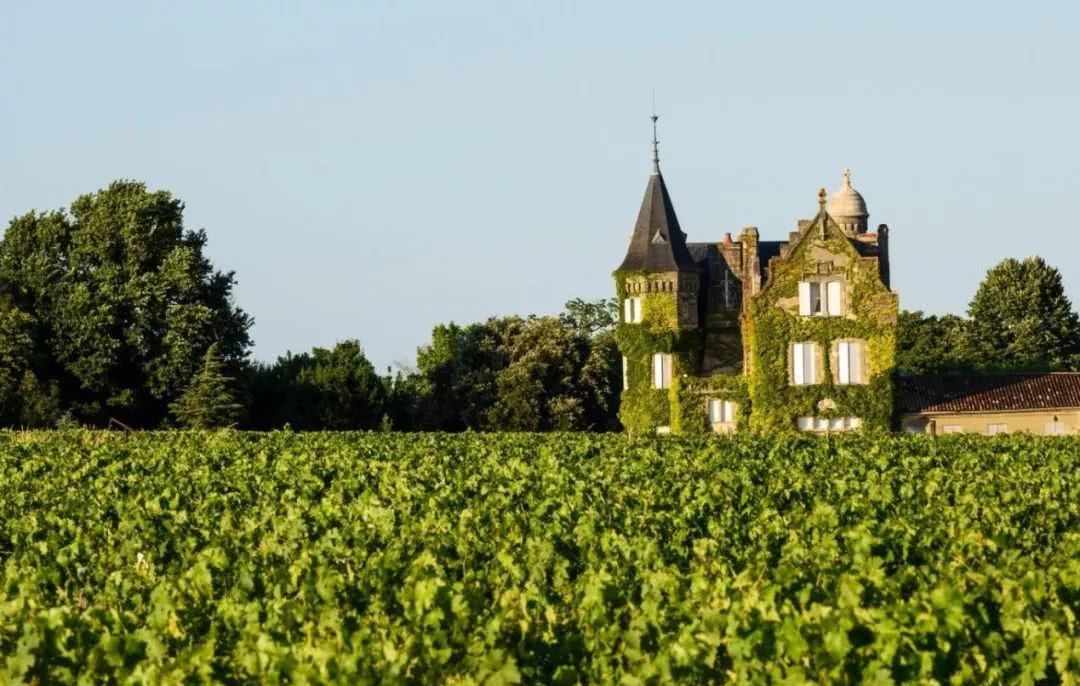 法国酒庄被中国人改名,当地人说我们文化入侵?