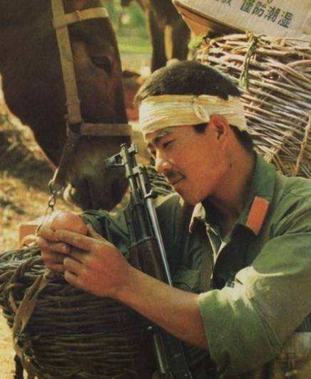 中越战争英雄图片