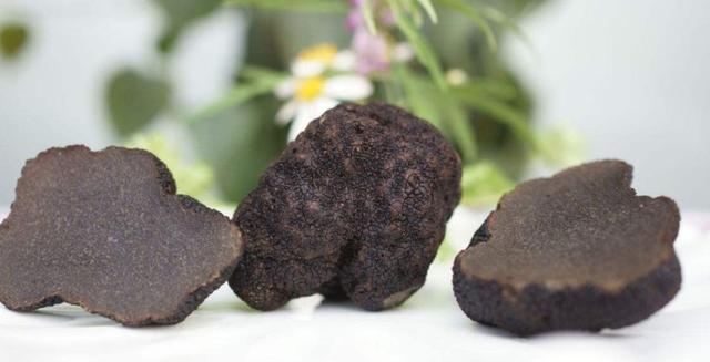 农村里的这种东西,北方人嫌贵吃不起,却被南方人拿来喂猪!