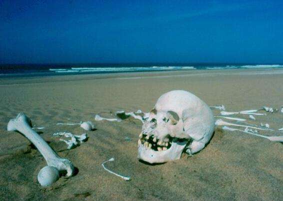 世上有一个骷髅海岸你听说过吗?有时间要不要去看看