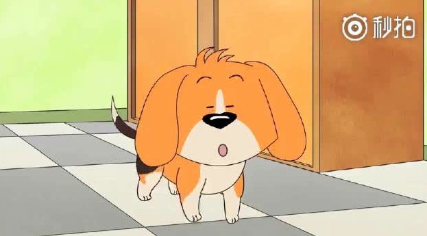 倒霉蛋儿与幸运女神,一部3分钟的短片,窝心又暖心