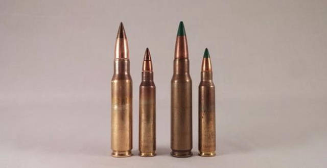 7.62毫米和小口径弹射杀野兽哪个威力大