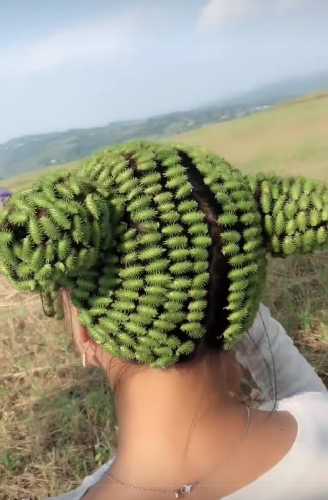 小姐姐给头发上沾满了苍耳子各种姿势显摆新发型后一秒悲剧了