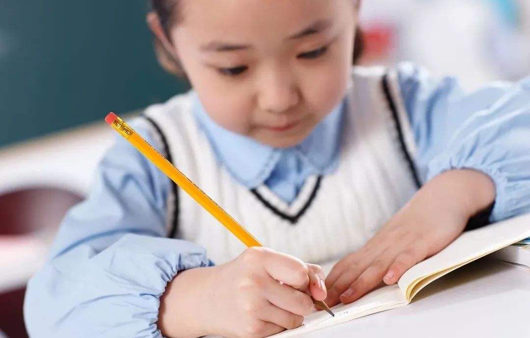 论文写作中数据检索网站 ISV和SI分别是什么