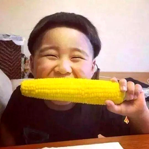 同样是啃玉米,两个宝宝的表情简直神同步啊!