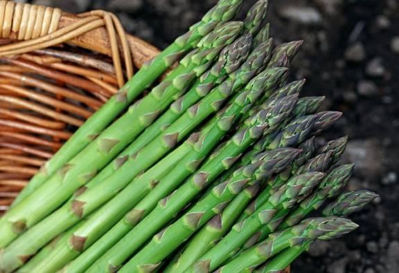 脑梗不会悄无声息,一旦头部出现5种特征,快去