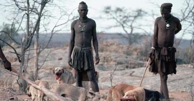 据说艾滋病起源于大猩猩,怎么传到人身上了?答