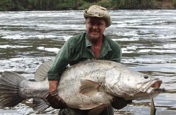 世界最失败入侵生物, 从泛滥成灾到濒临灭绝用了1年时间|尼罗河|鲈鱼