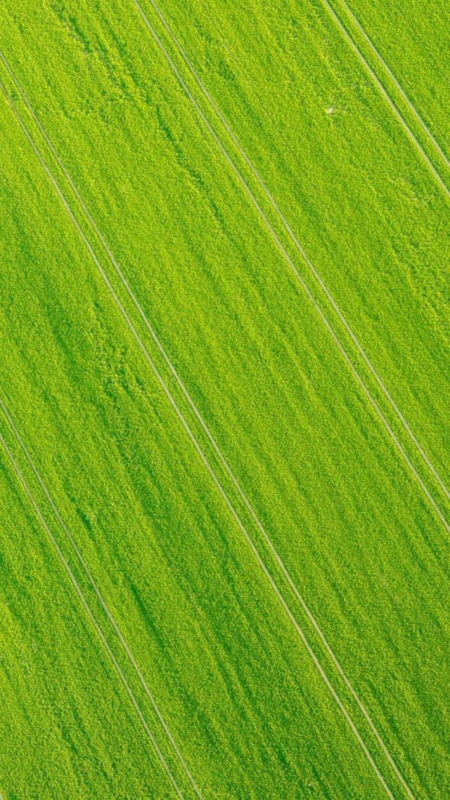 32张非常漂亮的微信7.0聊天背景图片大全 绿色护眼也适合做壁纸!