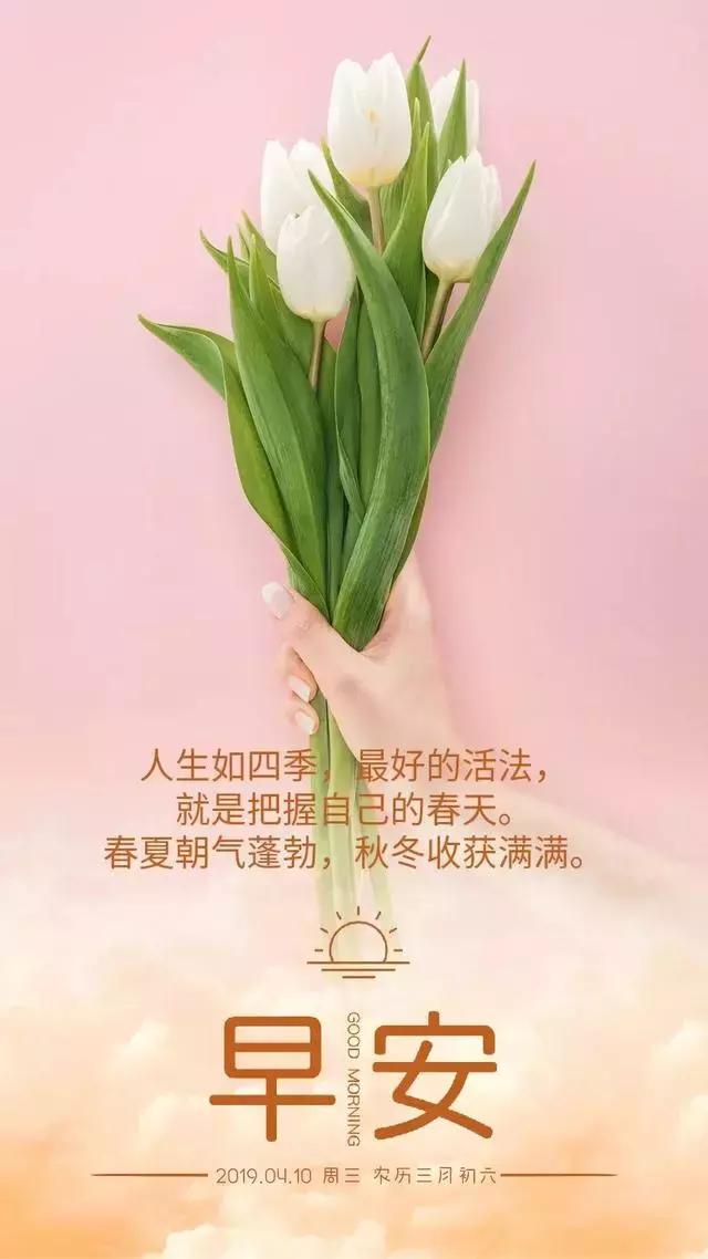 春夏朝气蓬勃,秋冬收获满满.早安,周三!