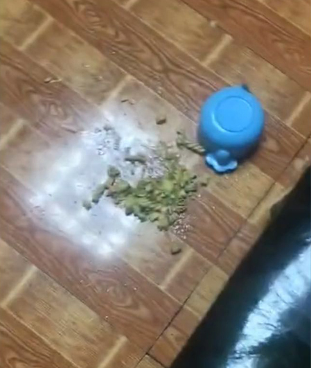 宝宝不吃饭还把碗打翻被妈妈罚站, 宝宝的姿势跟表情笑翻全家