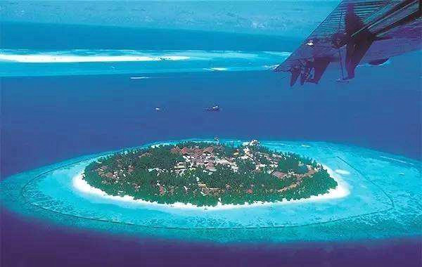 这国家靠卖鸟粪爆富是世界上最小的岛如今却惨遭破产