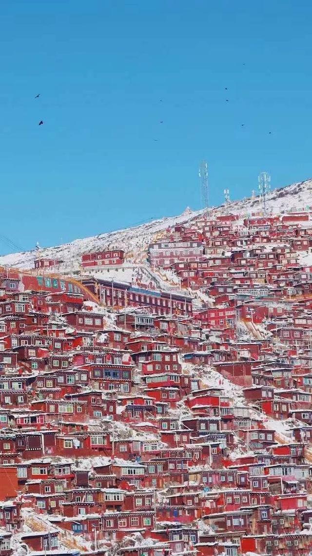 色达下了第一场雪,纯粹了全世界