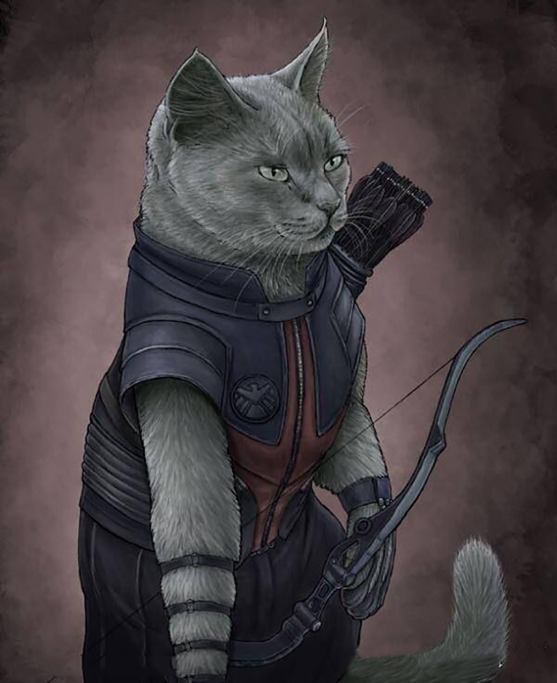 当漫威英雄变宠物猫,美国队长成大橘猫,英短蓝猫很适合鹰眼