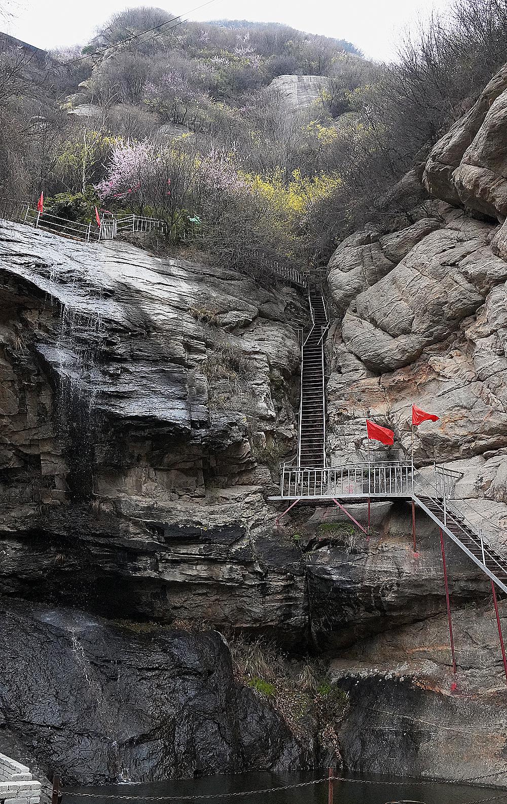 流峪飞峡山花烂漫迎宾客 老人绿化荒山艰辛守候16年|宾客|蓝田|流峪飞