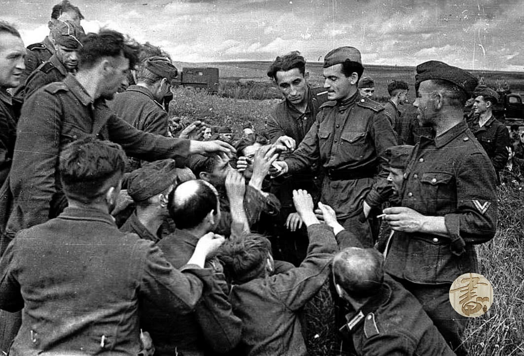 苏德战争老照片:惨烈无比的战争下,苏军给德军战俘发香烟|苏德|苏军