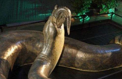 远古时期,地球上生活着很多巨型动物,今天就来介绍一种史上最大的蛇类