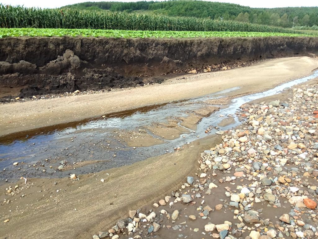 在一起的时间总是短暂的,下面这个玛瑙原石是他在回去之前最后才捡到