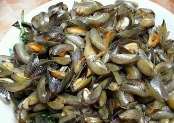 4斤才有1斤肉的海鲜,是潮汕人才知道的美味,比小龙虾还好吃|海鲜|薄壳