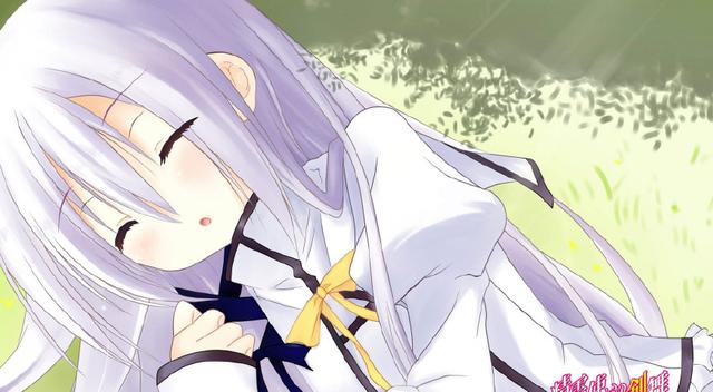 第三种,道具萝莉,代表:《精灵使的剑舞》提露密努斯·艾斯特目前居住