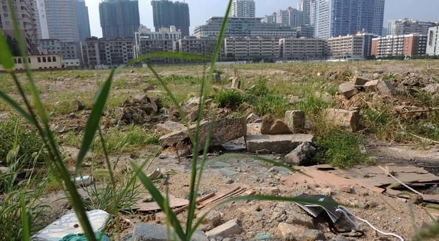 关注热点！2019年农民荒废土地，就会失去土地？！|土地|农民|闲置_新浪新闻