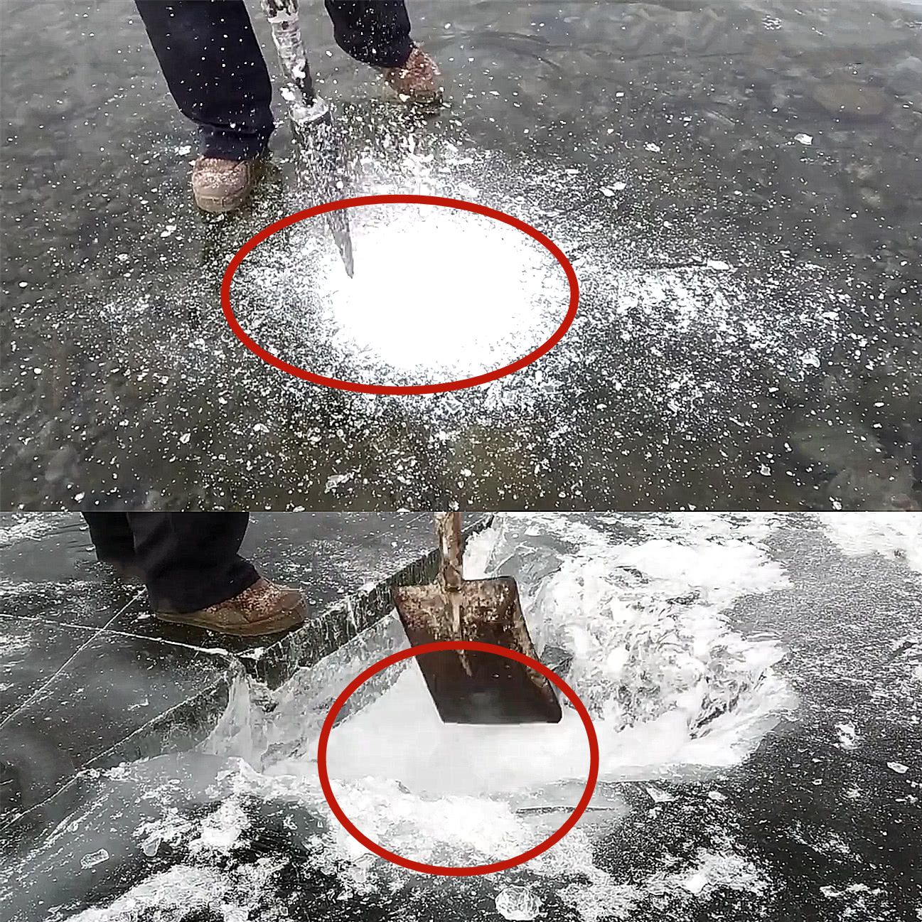 农村大爷凿开冰面,取出鱼后直接生吃,味道竟比"生鱼片"还好!