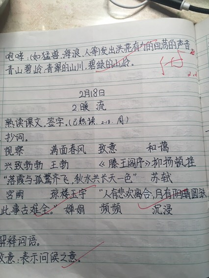小学生语文作业看了真舒服,字迹如同印刷体,老师:学习的榜样