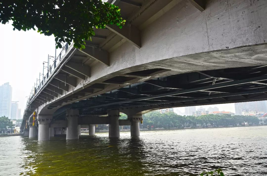 海珠桥|芒果|珠江_新浪新闻
