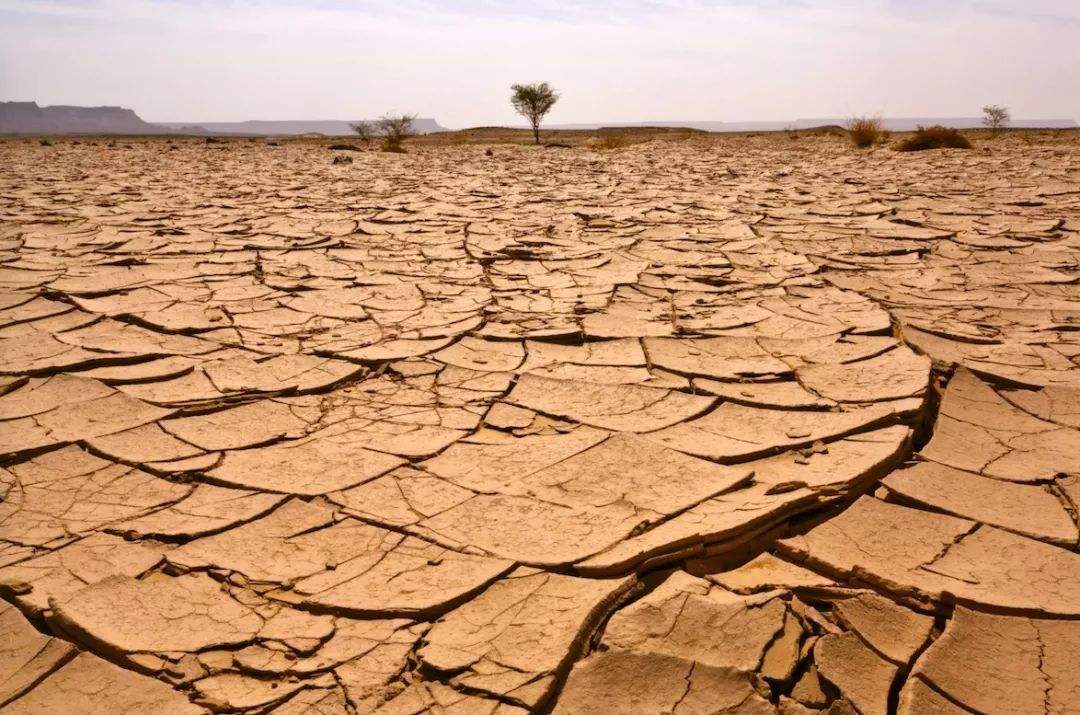 树铭公益:防治土地荒漠化