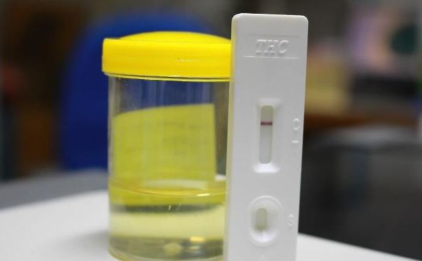 孕妇晨尿真的能测出宝宝"性别"?老一辈的测试法,你知道吗?