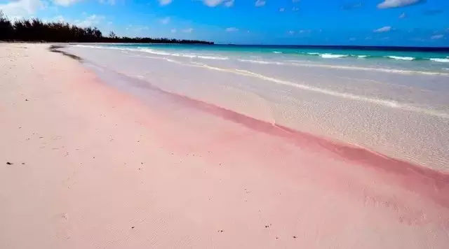 世界上唯一的粉色沙滩,世界上最性感的海滩免签了