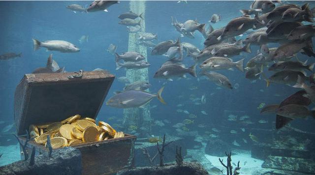 沙俄打捞一艘沉船,载有中国千亿黄金,日本竟然想收入囊中?