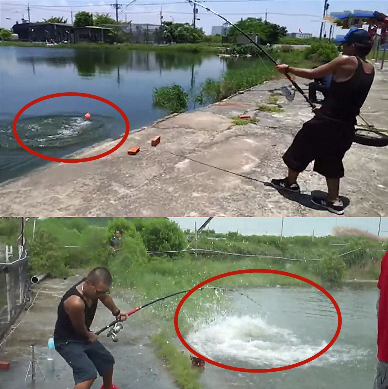 农村小伙钓鱼疯狂拉杆,上钩的"大鱼"令人意外,网友:成精了?