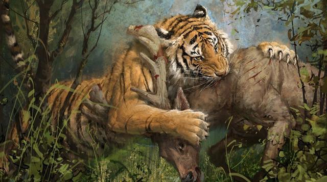 猞猁与老虎的博弈,四两拨千斤?老虎:借你十个胆!
