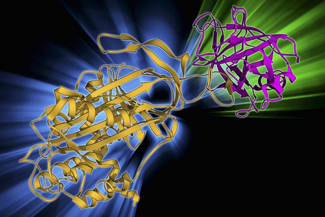 seo软件系统源码