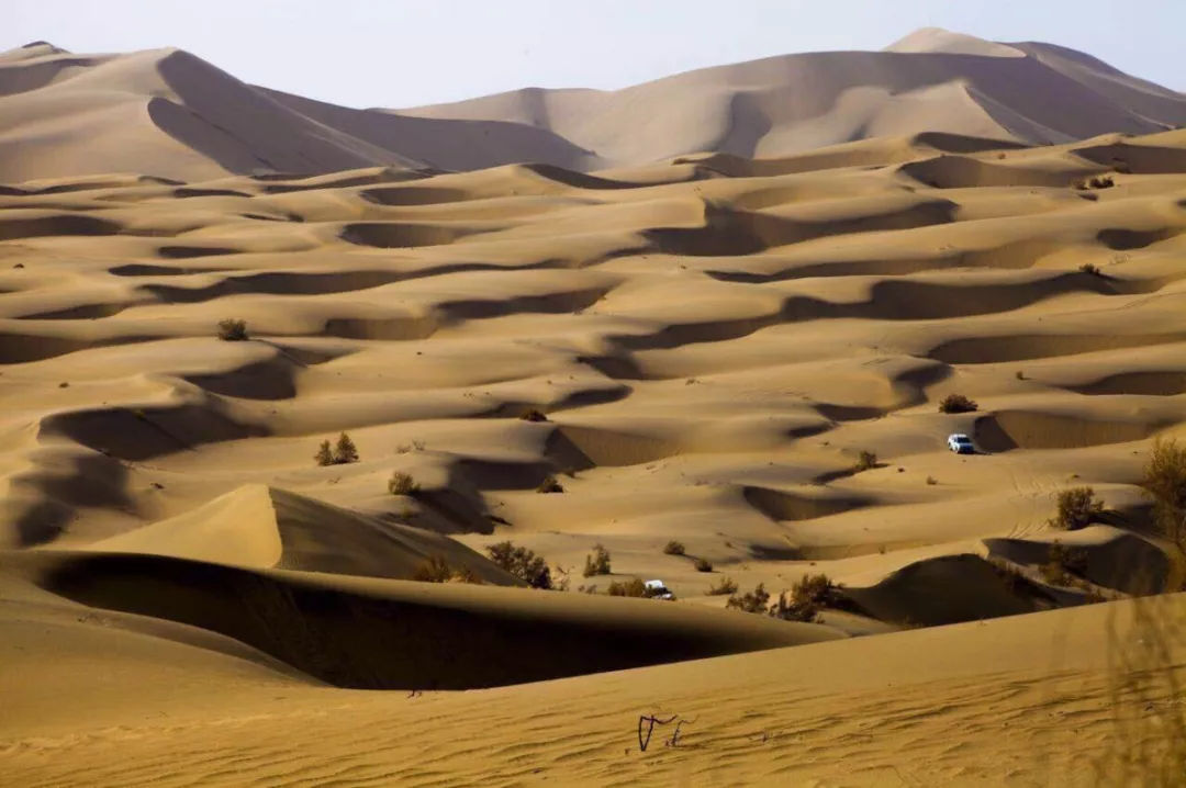 在敦煌,你可以去莫高窟感受另一种气息,在浩瀚无垠的沙漠里,他就是一