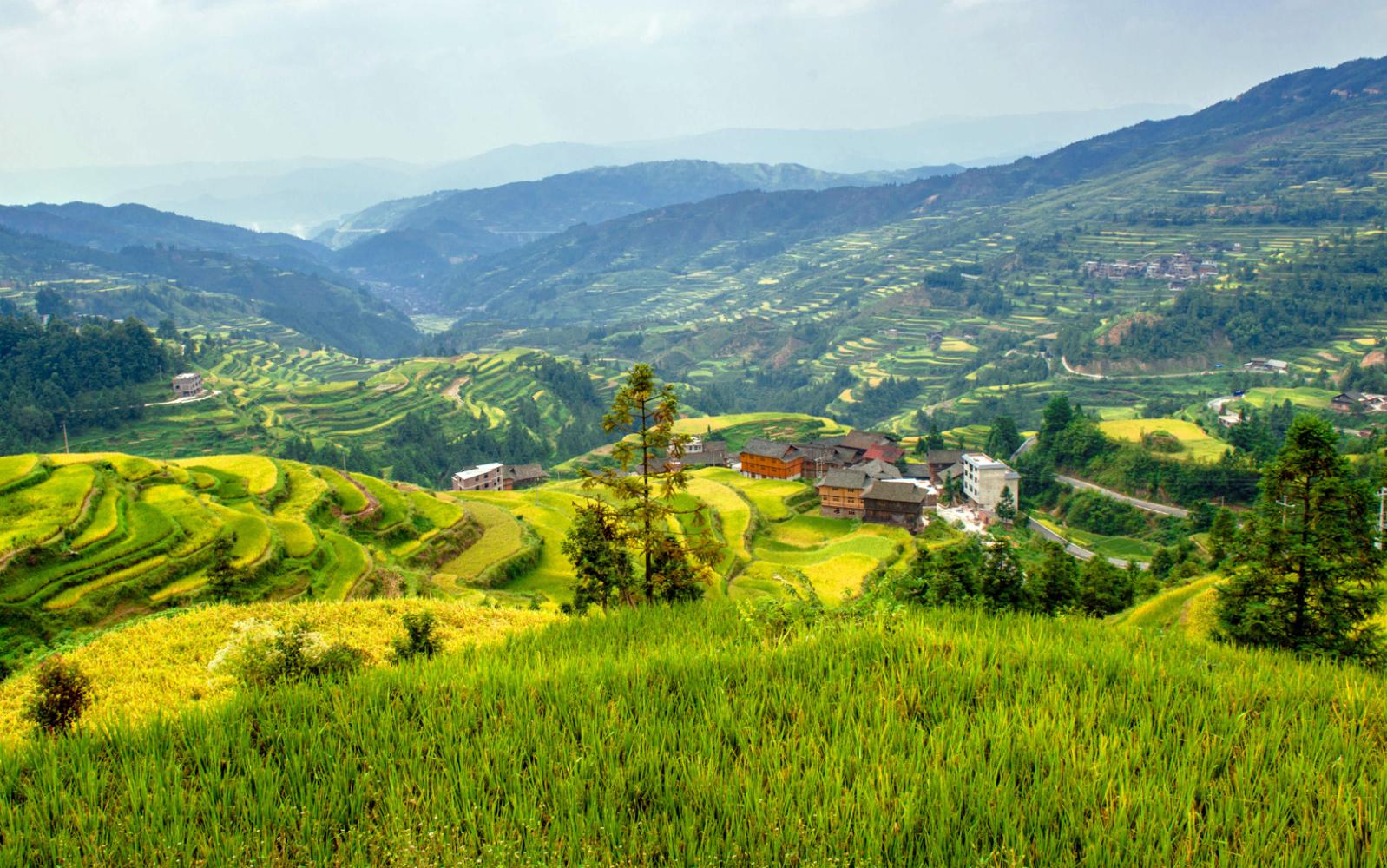 隐藏在贵州大山里的梯田, 不输龙脊, 而且免费