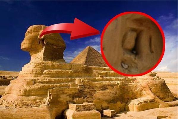 火星男孩还在预言?以前预言通通打脸