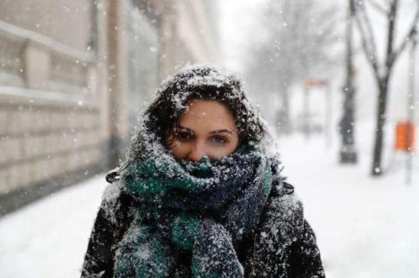 在寒冷的冬天,动物的眼睛为什么不怕冷?