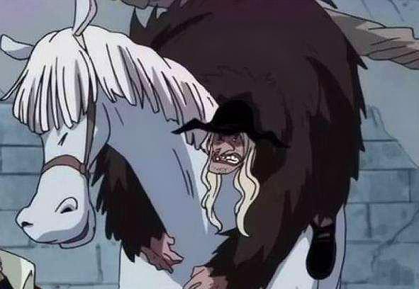 海贼王:黑胡子为什么招毒q当船医?果实能力太bug杀死了白胡子