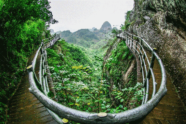 国内又一曝光最"坑"景区|景区|收费|景点_新浪新闻