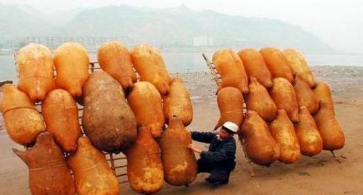羊皮筏子在黄河上漂了三百年,为何只用公羊制作,而不用母羊呢?|筏子|羊皮|母羊_新浪新闻